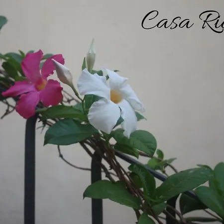 Casa Ricca * Acireale